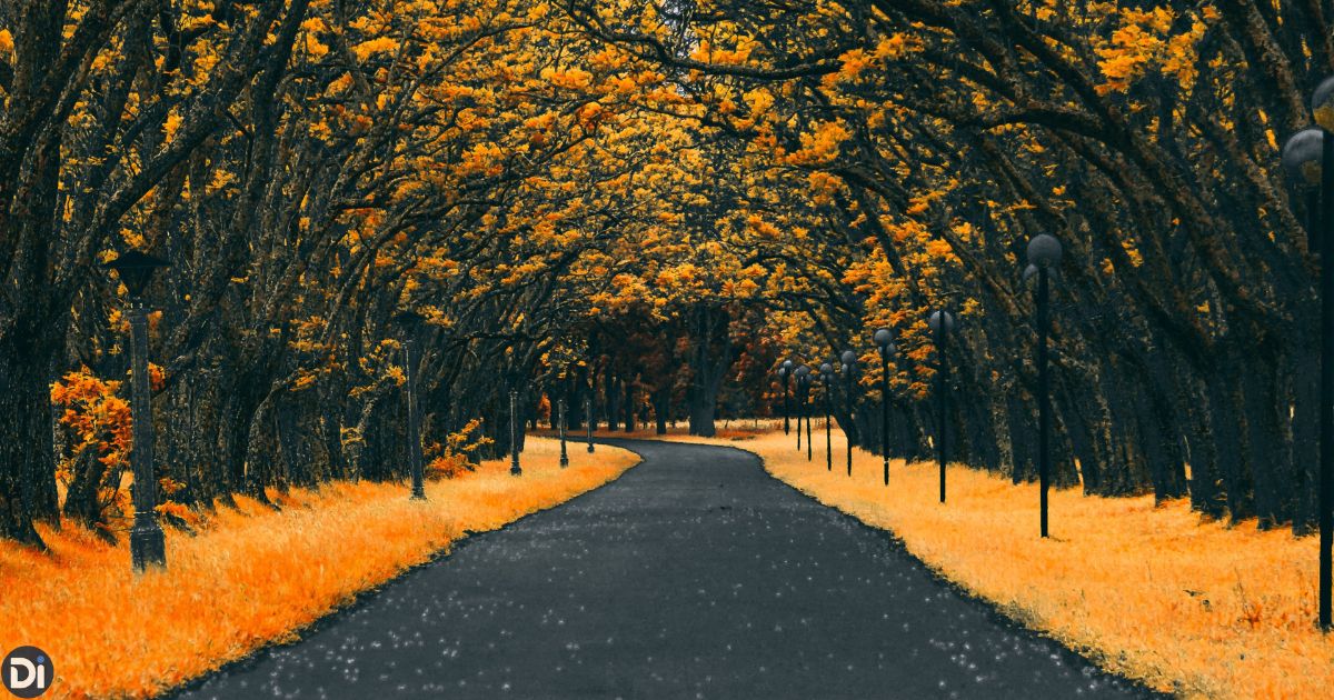 Nearby Attractions You Should Not Miss