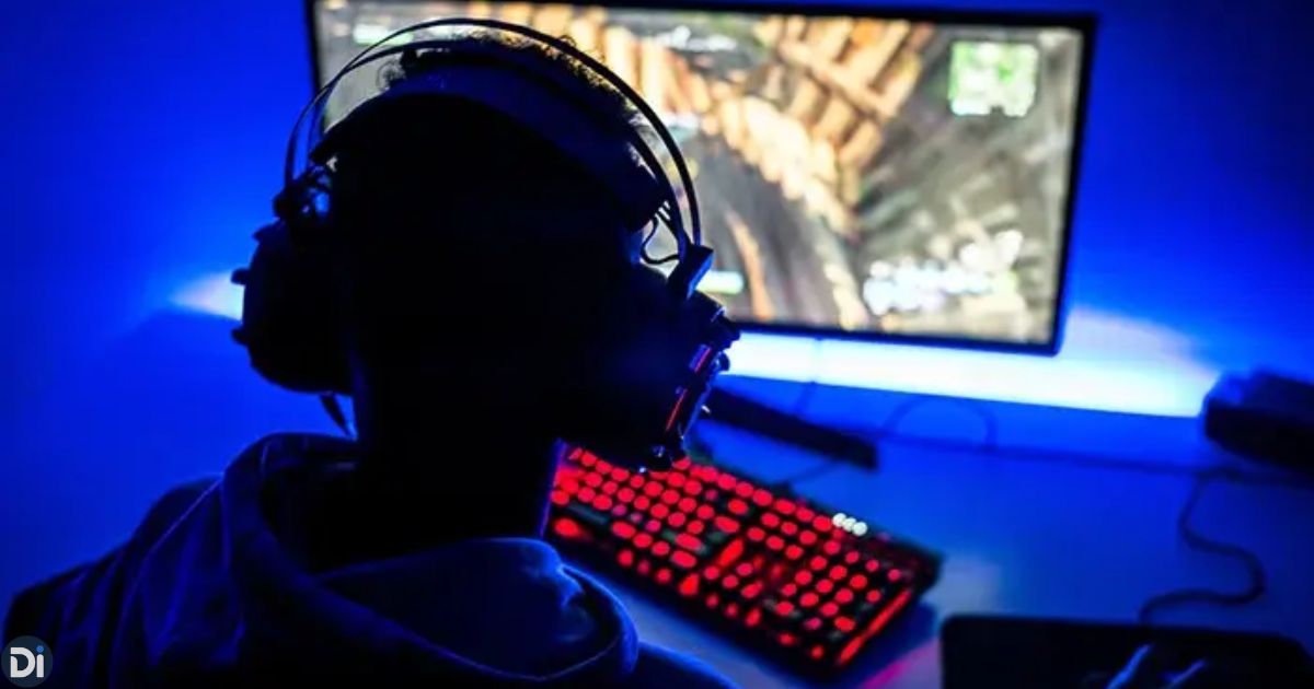 The Role of the Community in DualMedia