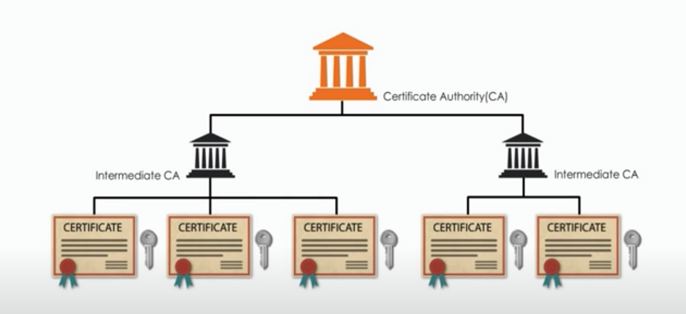 what is an ssl certificate chain