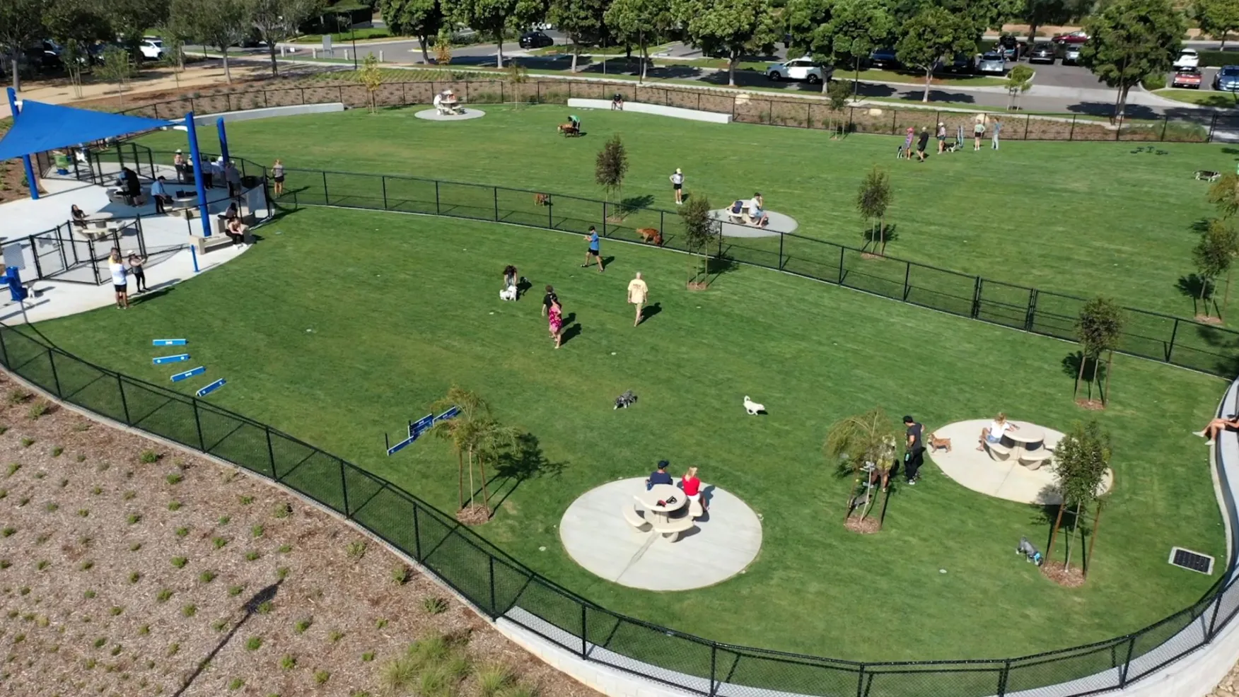 Dog Park Near Me