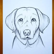 dog drawing