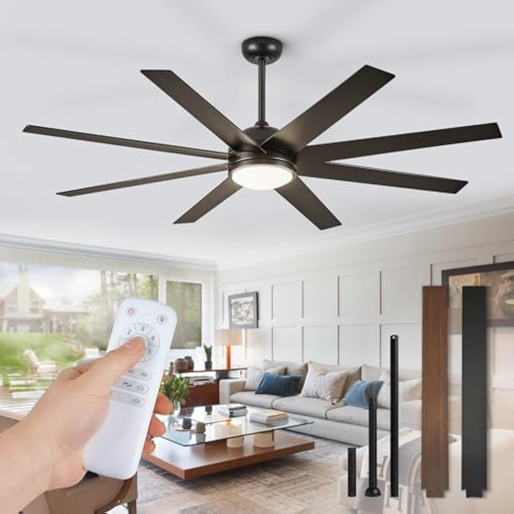 ceiling fan with light