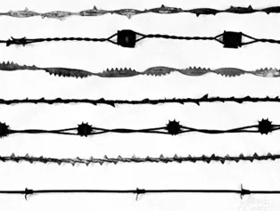 Barbed Wire